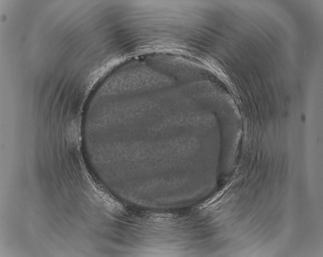 X0000087060438200705091204