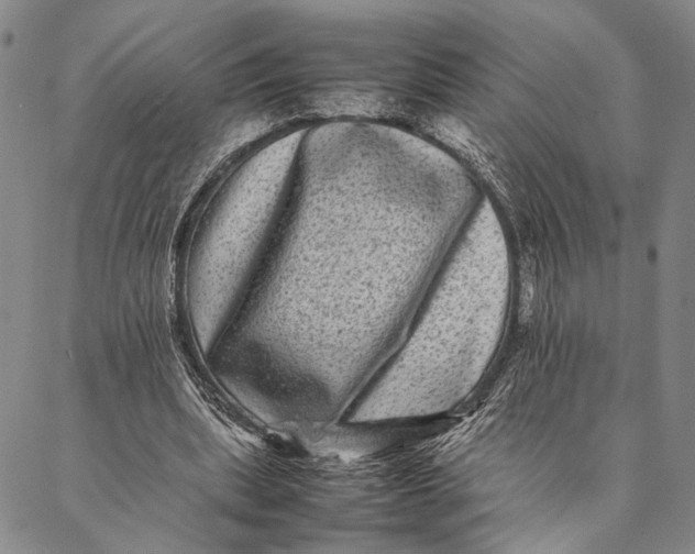 X0000087060439200705091204