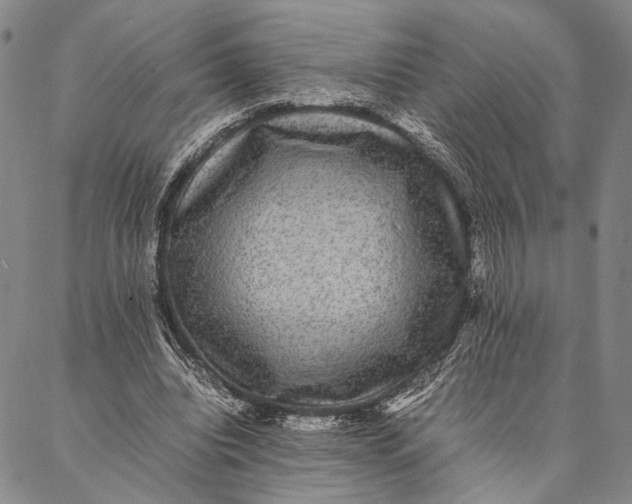 X0000087060440200705091204