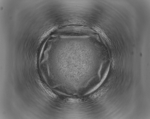 X0000087060442200705091204