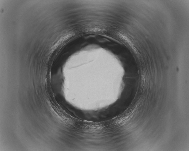 X0000087060443200705091204