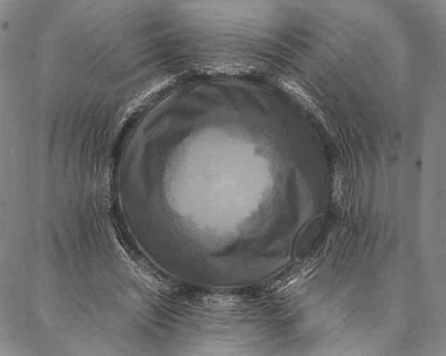 X0000087060444200705091204