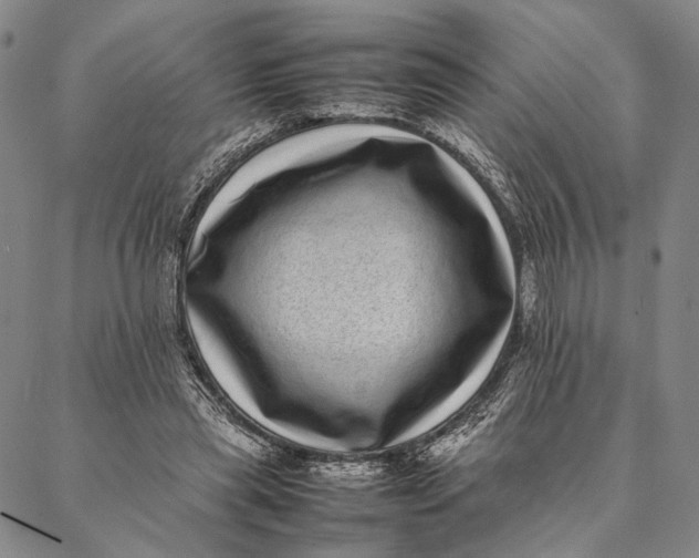 X0000087060445200705091204