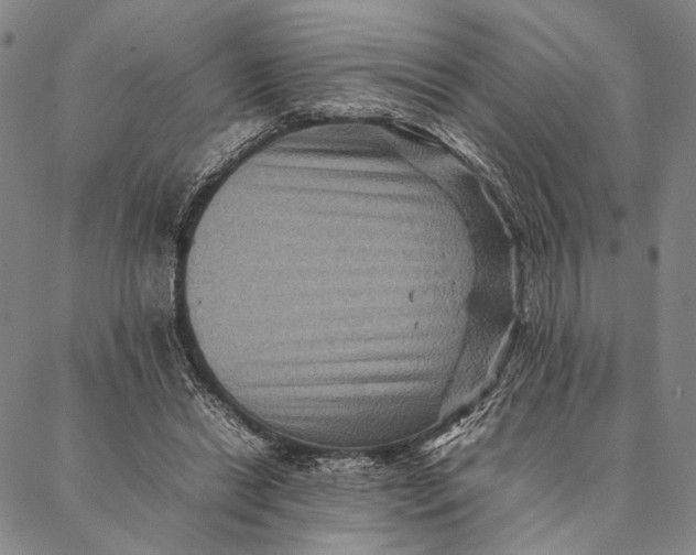 X0000087060446200705091204