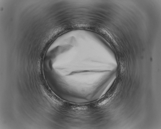 X0000087060447200705091204