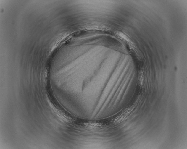 X0000087060448200705091204