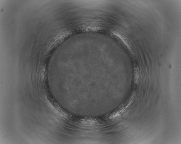 X0000087060451200705091205