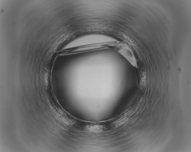 X0000087060452200705091205