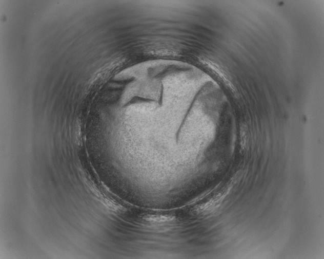 X0000087060453200705091205