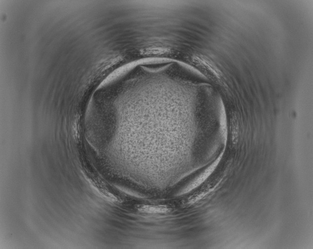 X0000087060455200705091205