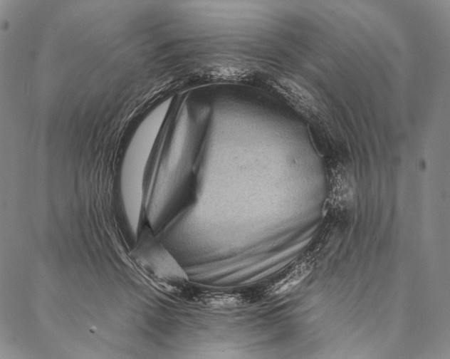 X0000087060456200705091205