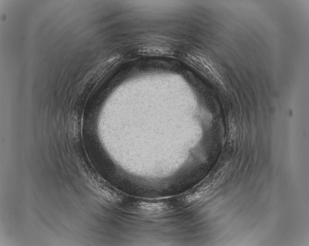 X0000087060457200705091205