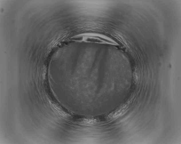 X0000087060458200705091205