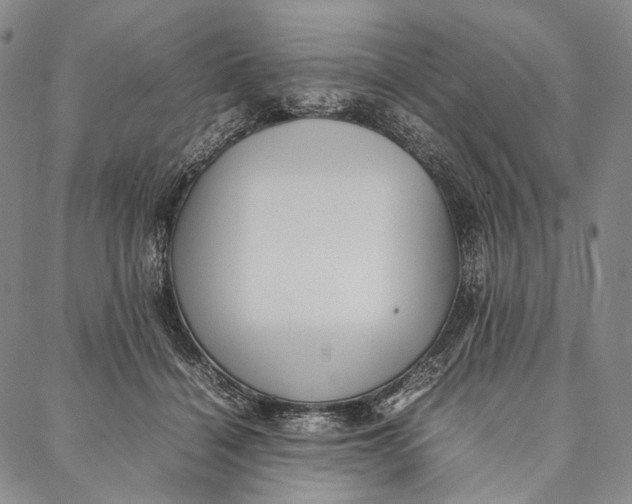 X0000087060460200705091205