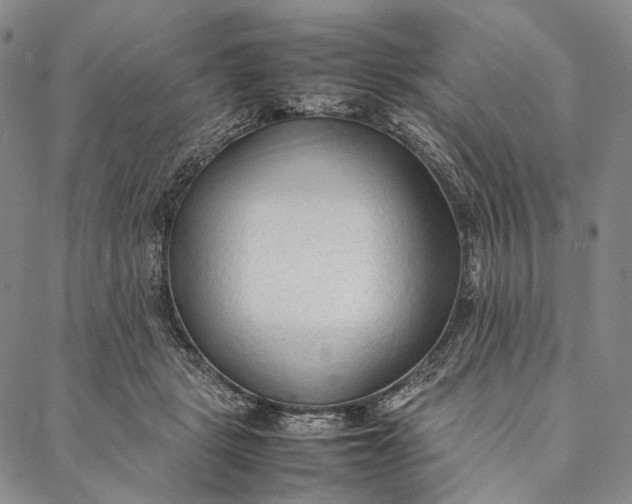 X0000087060461200705091205