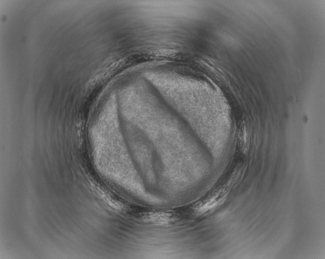 X0000087060462200705091205