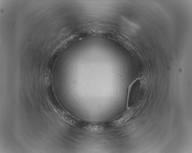 X0000087060464200705091205