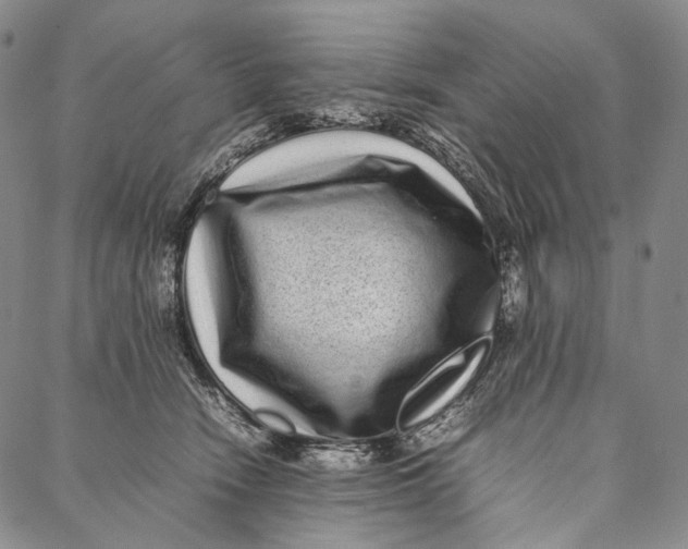 X0000087060466200705091205