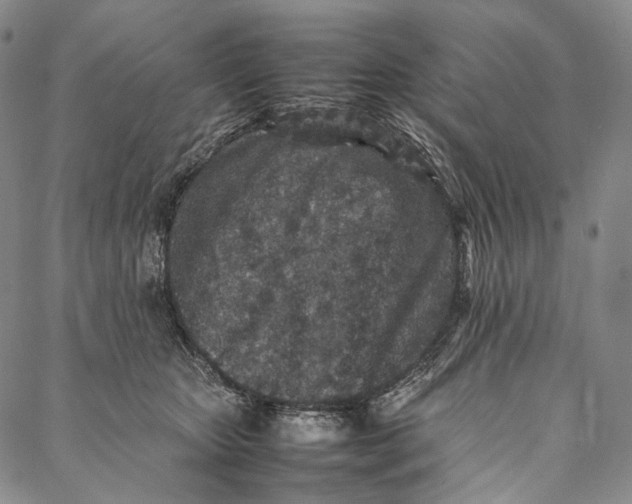 X0000087060467200705091205