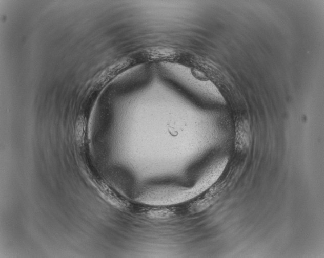 X0000087060468200705091205