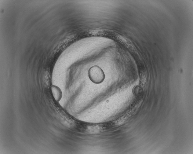 X0000087060470200705091205