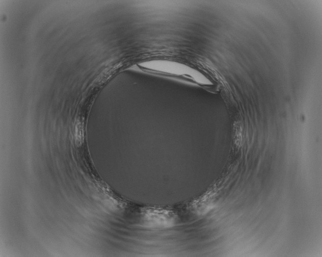 X0000087060471200705091205