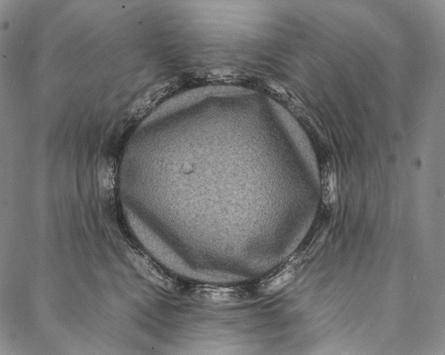 X0000087060472200705091205