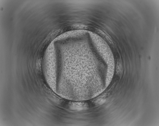 X0000087060473200705091205