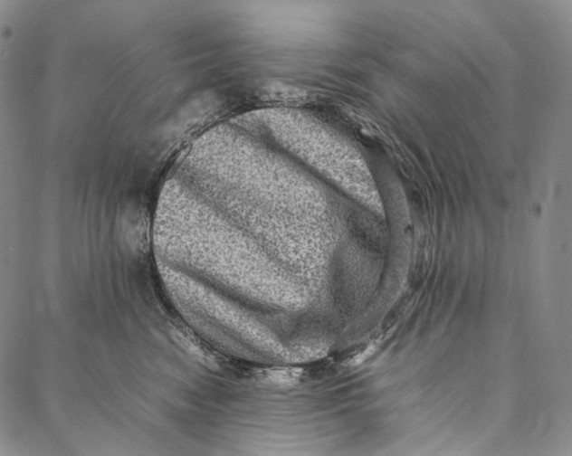 X0000087060474200705091205