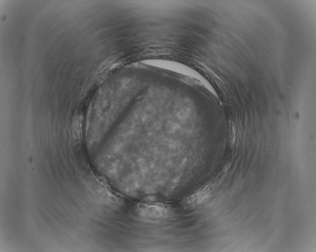 X0000087060475200705091205