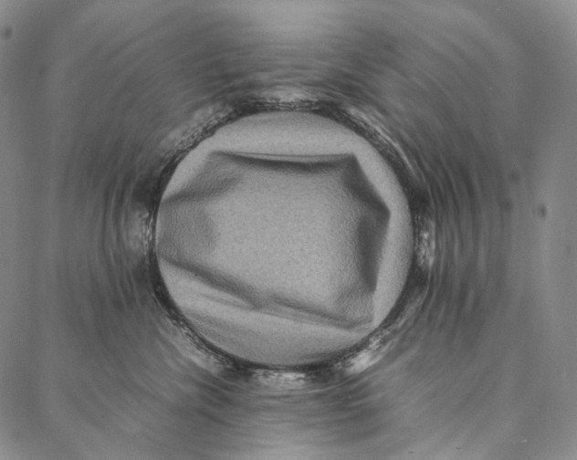 X0000087060476200705091205