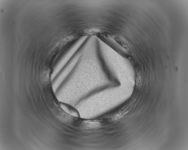 X0000087060477200705091205