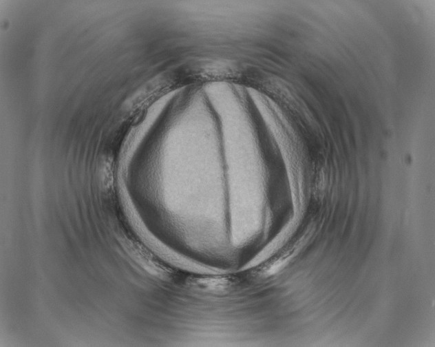 X0000087060478200705091205