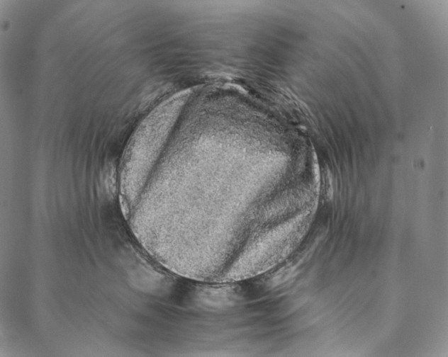 X0000087060479200705091205