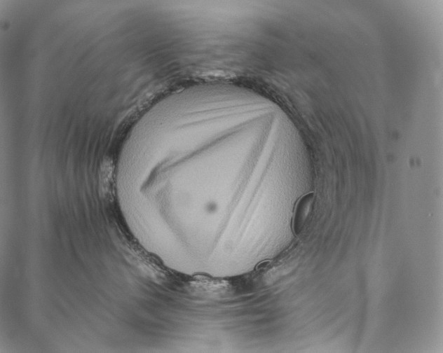 X0000087060480200705091205