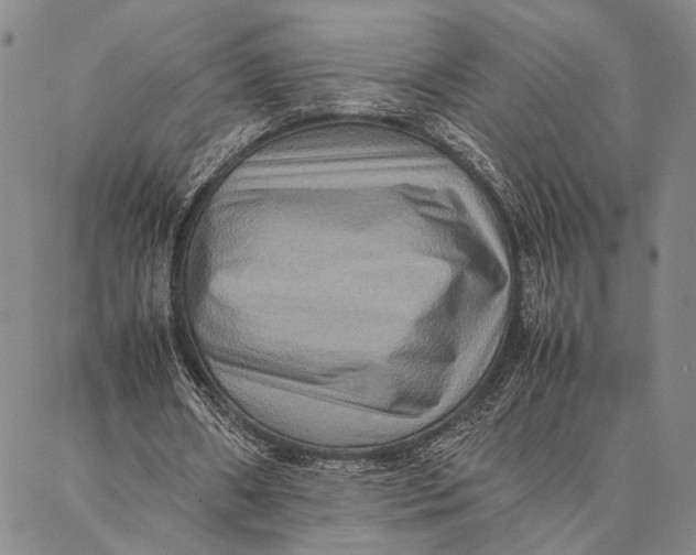 X0000087060482200705091204