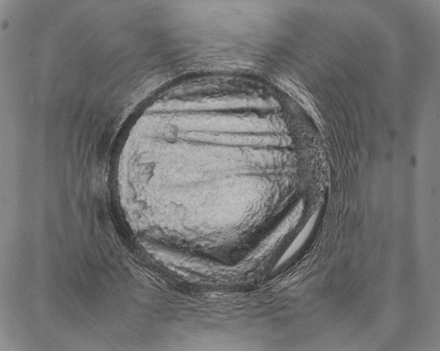 X0000087060483200705091204