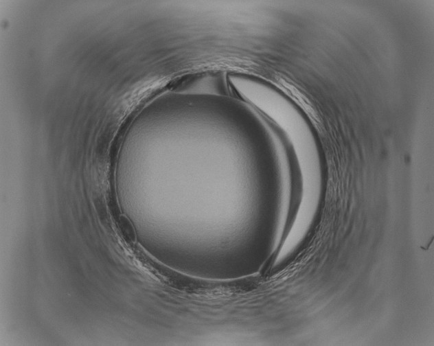 X0000087060485200705091204