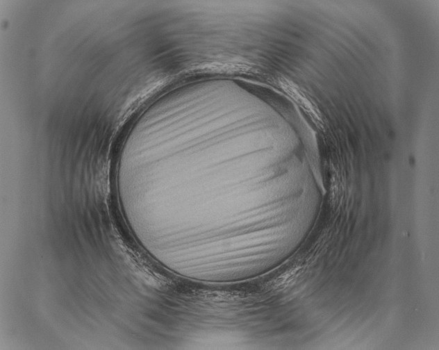 X0000087060486200705091204