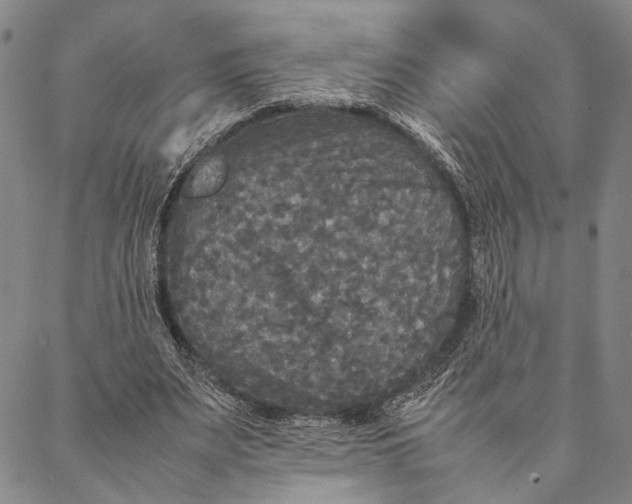 X0000087060487200705091204