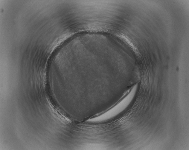 X0000087060488200705091204