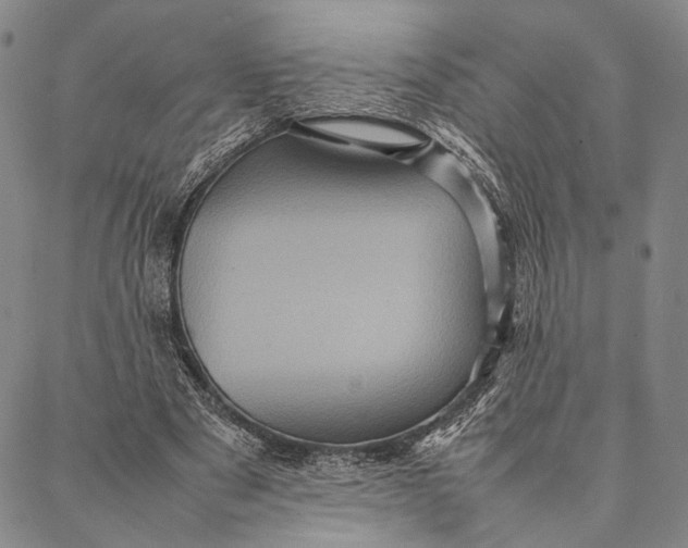 X0000087060489200705091204