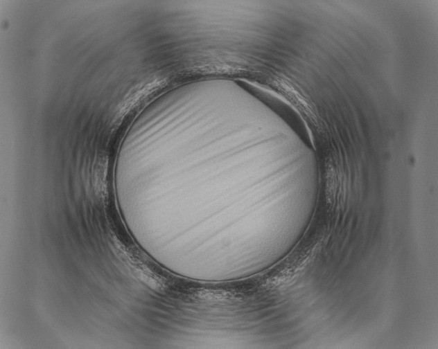 X0000087060490200705091204