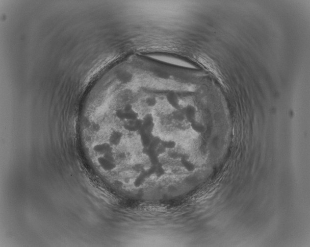 X0000087060491200705091204