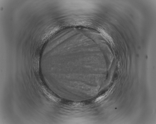 X0000087060493200705091204