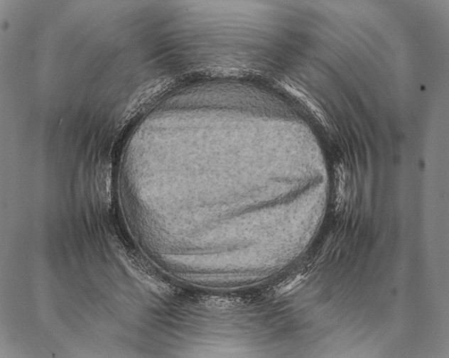 X0000087060494200705091204