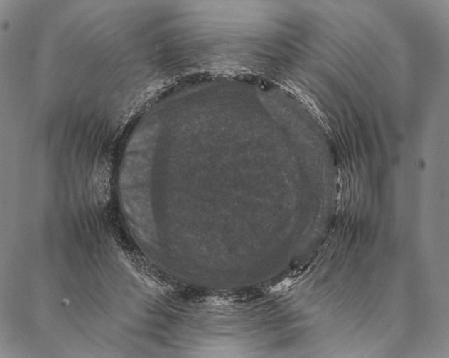 X0000087060496200705091204