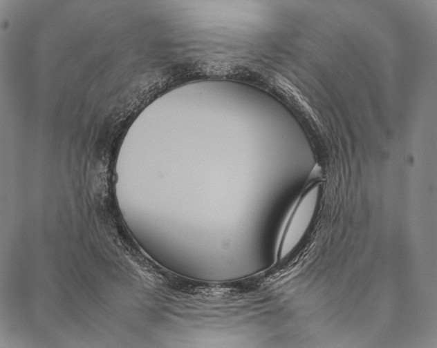 X0000087060497200705091204