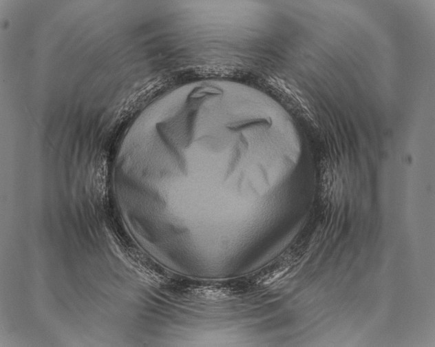 X0000087060498200705091204