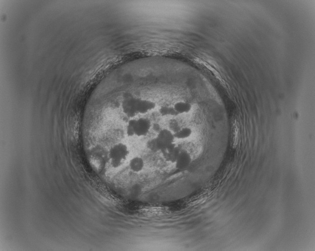 X0000087060499200705091204